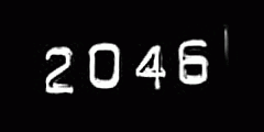 2046