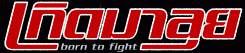 Դ : Born to Fight