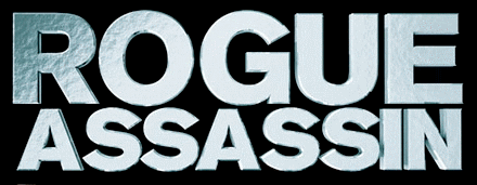 Rogue Assassin