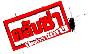 Ѻ Դʺ